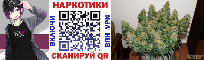 Виды наркотиков купить Малая Вишера Кокаин  ГАШ  АМФЕТАМИН  Бошки Шишки  СК 