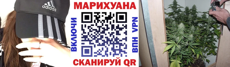 хочу   Малая Вишера  МАРИХУАНА OG Kush 